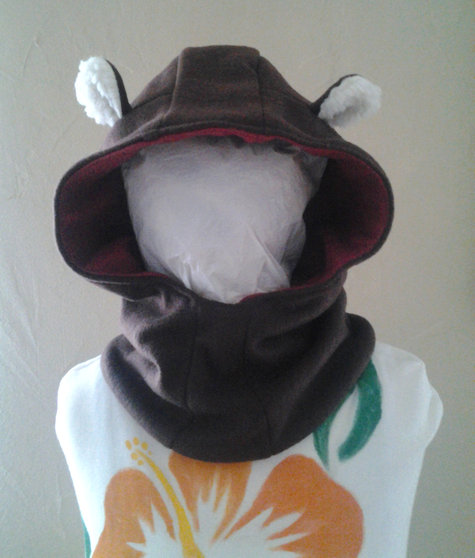 Ewok_large