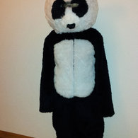 Panda_listing
