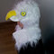 Adler_grid