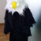 Adler_1_grid