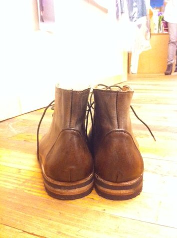 Shoeback_large
