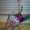 Blue_owl_4_grid