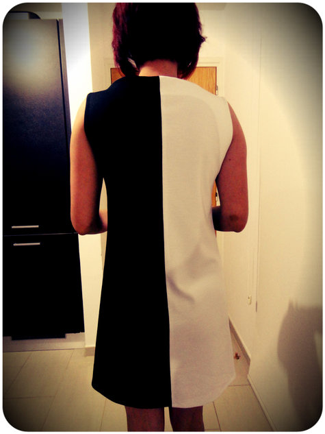 Jamie_shift_dress_twiggy_style_4_large