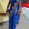 Dsc08155_grid