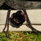 Dscn3405_grid