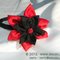 Copia_2_di_dscn3598_grid