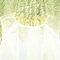 Bild6400_grid