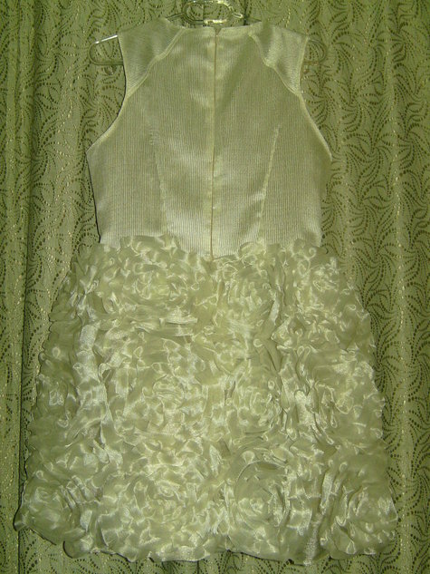 Bild6401_large
