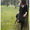 Photo_201_grid