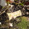 Dsc02011_grid