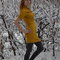 Thumb_800x600_10__grid
