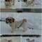 Ashley_bunda_grid