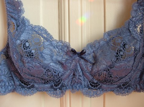 Lavander_bra_-_front_closer_large