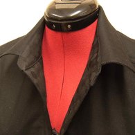 Collar_detail_listing