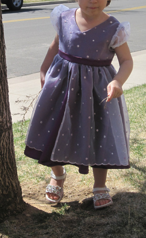Dakota_dress_2_large