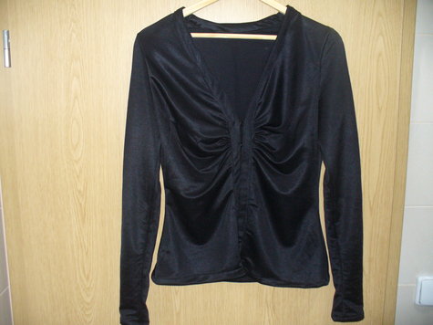 P1100265_large