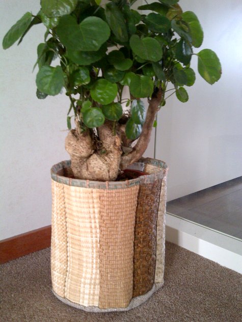 Basket_large