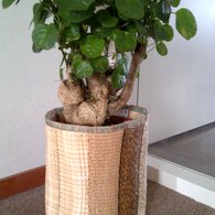 Basket_listing
