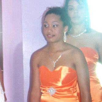 Bridem9_large