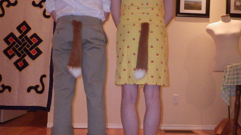 Foxes_5_large