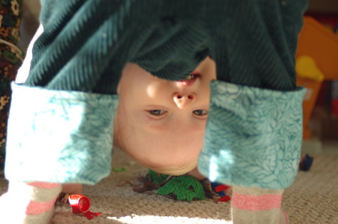 Upside_down_large