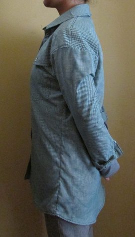 Side_greengingshirt2_large