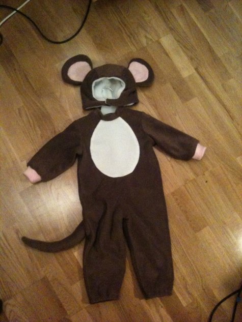 Photo_1_large