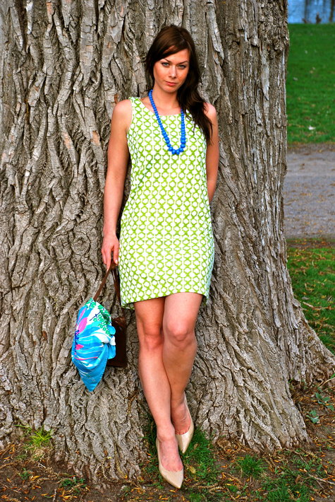 Dsc_2552_large