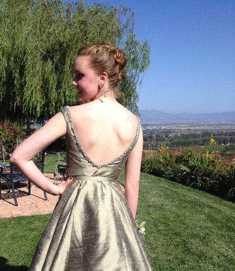 Bryn_prom_dress_back_large