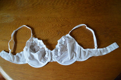 Dsc_0220_large