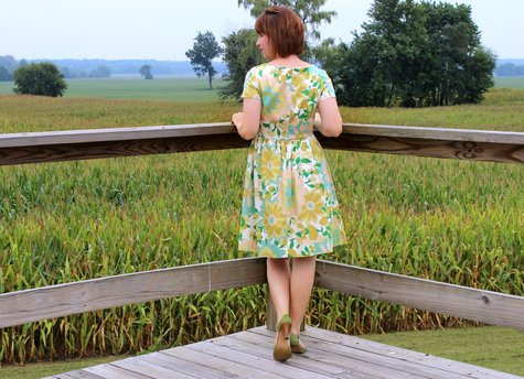 Emery_dress_pic_2_large