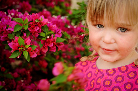 Cmp_9582lr2_large