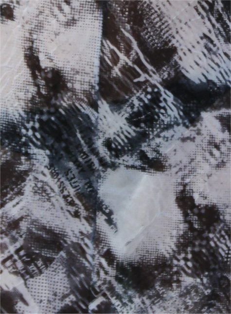 Image2_large