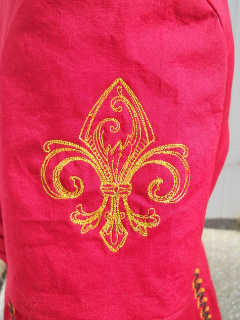 Carousel_dress_fleur_de_lis_large