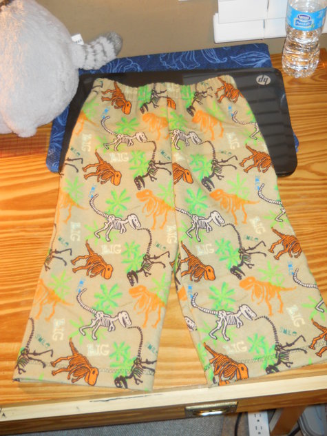 Adrian_dino_pants_large