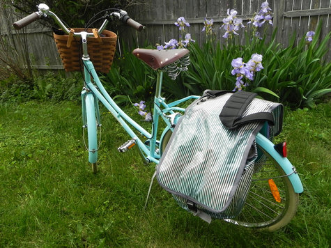 Bikebag_large