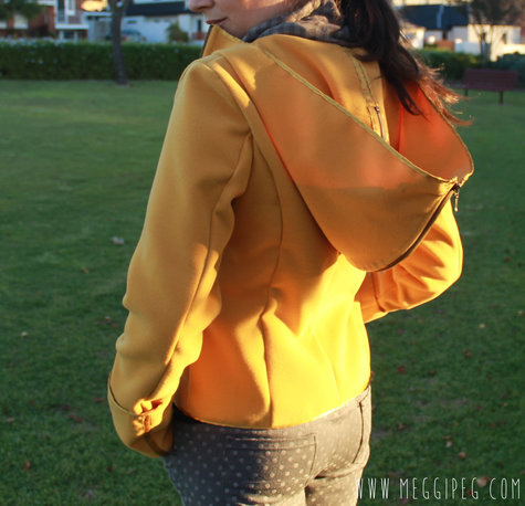 Yellow_jacket_6_large