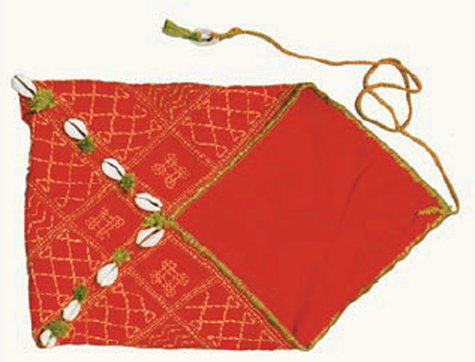 Pouch_large