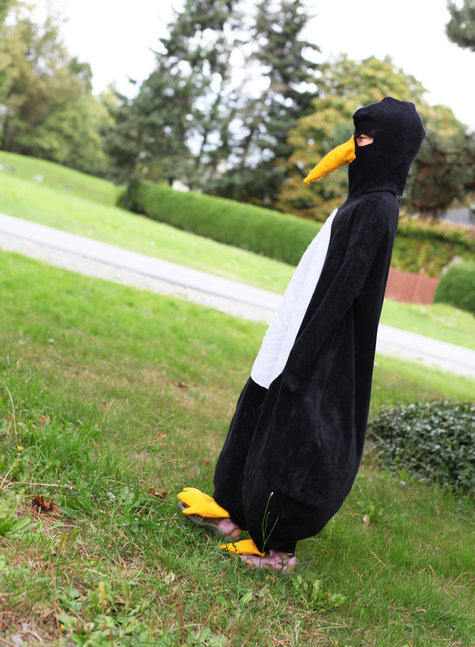 Penguin2_large
