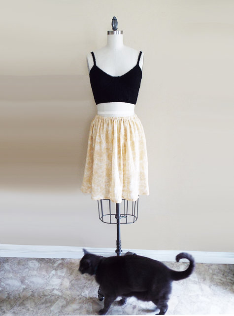 Cat_large