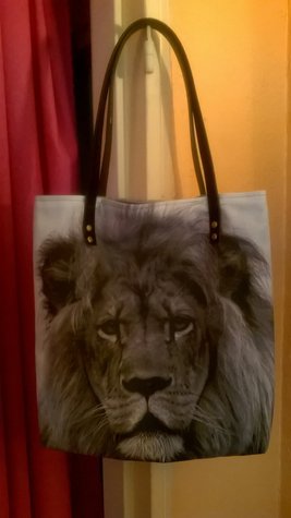 Sac_lion_0715_large