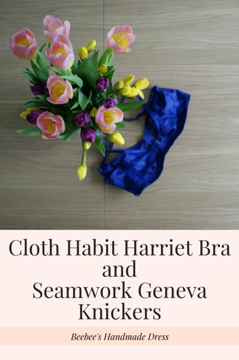 Cloth_habit_harriet_bra_andseamwork_geneva_knickers_large