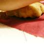 42034e90d21ea5e4c56a9dd76ef473908a92466b_original_thumb