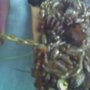 01b9775ece02a9fae119aa7b1fd231448c02c739_original_thumb