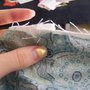 40dad875276038c0f2dc2d2e88545a97b1ea03e6_original_thumb