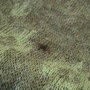 F851b417e9b2a3fae869aea7aee7fa1e2c1d75b5_original_thumb