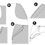 6052step8_thumb