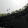 Pining_wrong_side_thumb