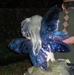 Vinyl_wings_large