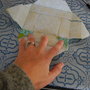 Dsc_2084_thumb